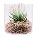 REGENT ARTIFICIAL SUCCULENT IN A CLEAR GLASS - SMALL, (80MM DIAX80MM)