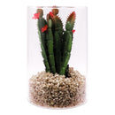 REGENT ARTIFICIAL SUCCULENT IN A CLEAR GLASS - LARGE, (100MM DIAX150MM)