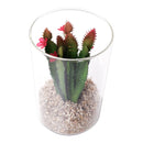 REGENT ARTIFICIAL SUCCULENT IN A CLEAR GLASS - LARGE, (100MM DIAX150MM)