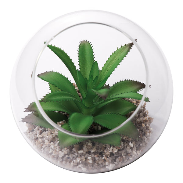 REGENT ARTIFICIAL SUCCULENT IN A CLEAR GLASS SPHERE - LARGE, (120MM DIAX110MM)