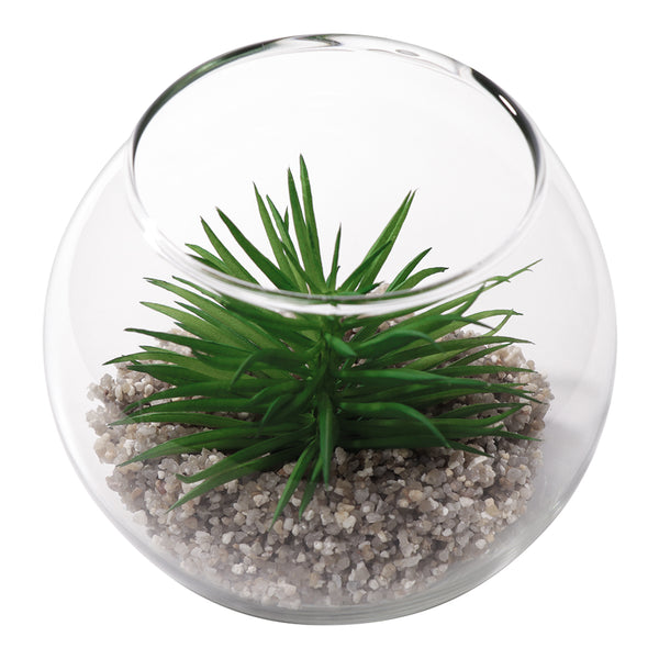 REGENT ARTIFICIAL SUCCULENT IN A CLEAR GLASS POT - LARGE, (120MM DIAX100MM)