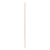 REGENT BAMBOO SKEWERS 100PC, (250X2.5MM DIA)