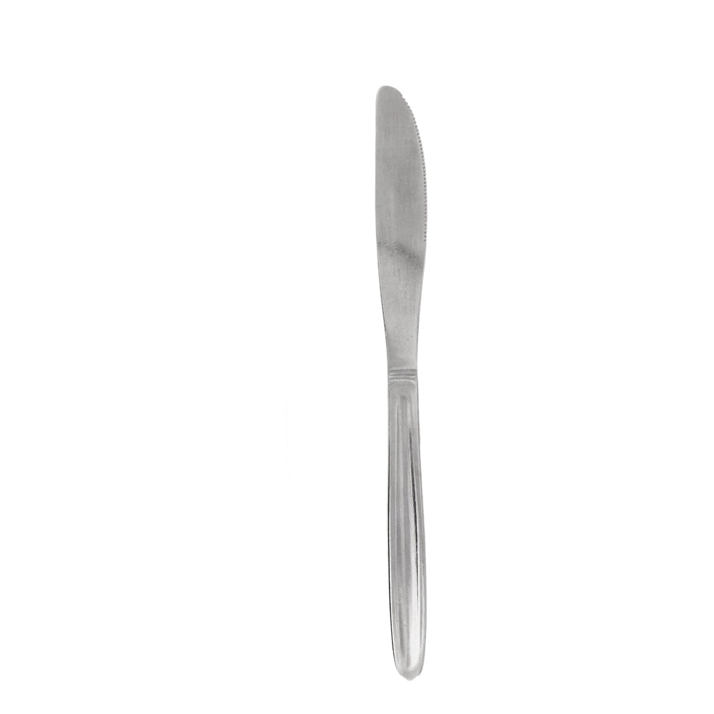 REGENT CUTLERY AUSTWIND (ELOFF) TABLE KNIFE ST STEEL, 1 DOZ