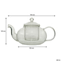 REGENT TEAPOT BOROSILICATE GLASS WITH INFUSER AND LID, 450ML (128MM DIAX125MM)