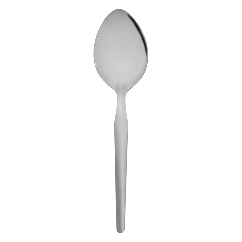 REGENT RICE SPOON STAINLESS STEEL 2 PACK, (70X30X255MM)