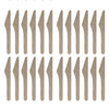 REGENT DISPOSABLE WOODEN KNIVES 24PCS, (220X160X50MM)