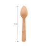 REGENT DISPOSABLE BAMBOO MINI COCKTAIL TEASPOONS 20PCS, (110MM)