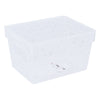 REGENT PLASTIC VENICE BASKET SMALL CLEAR, (105X150X80MM)